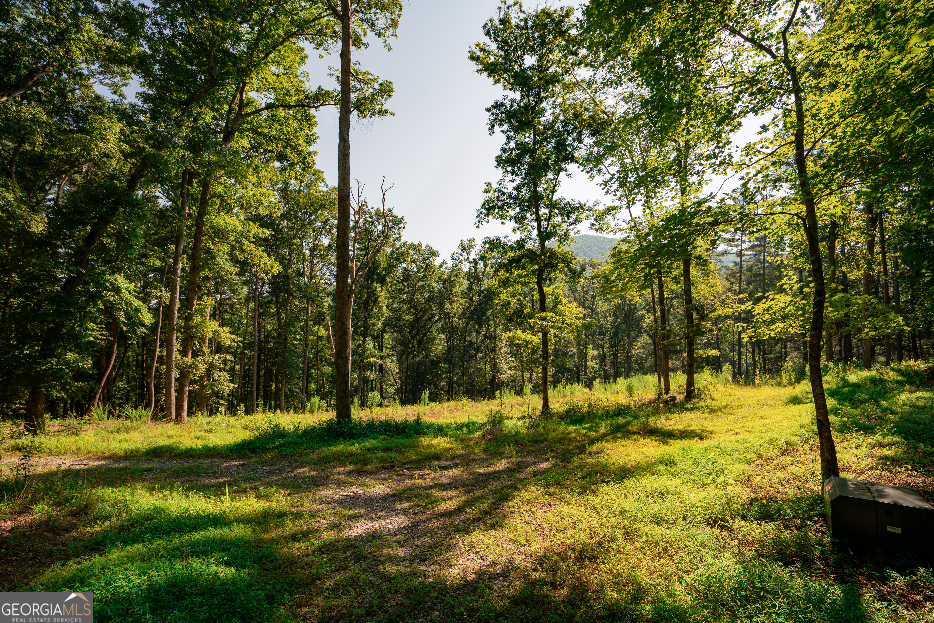 0 Old Rock Creek Road Property Photo 36