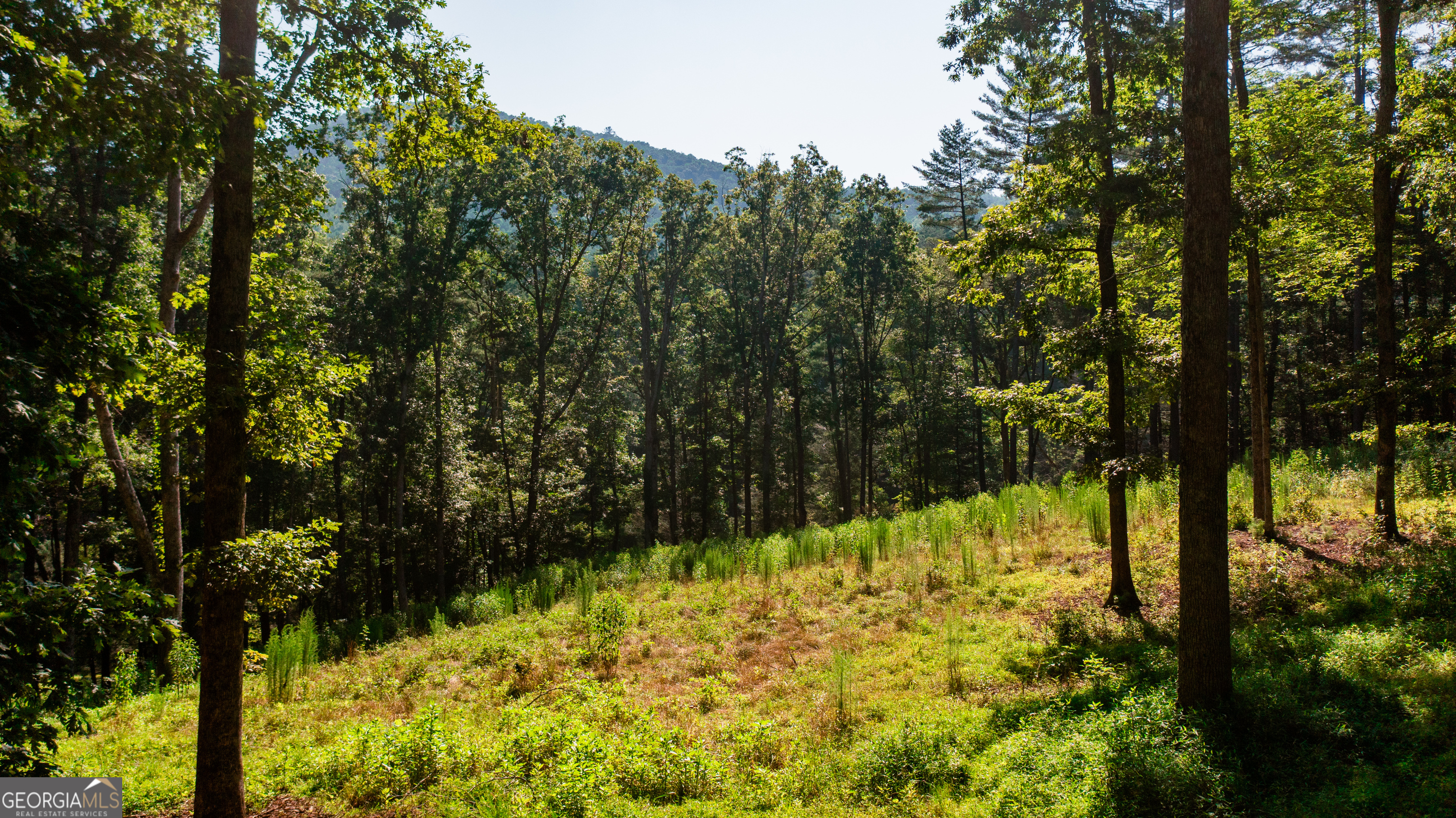 0 Old Rock Creek Road Property Photo 39