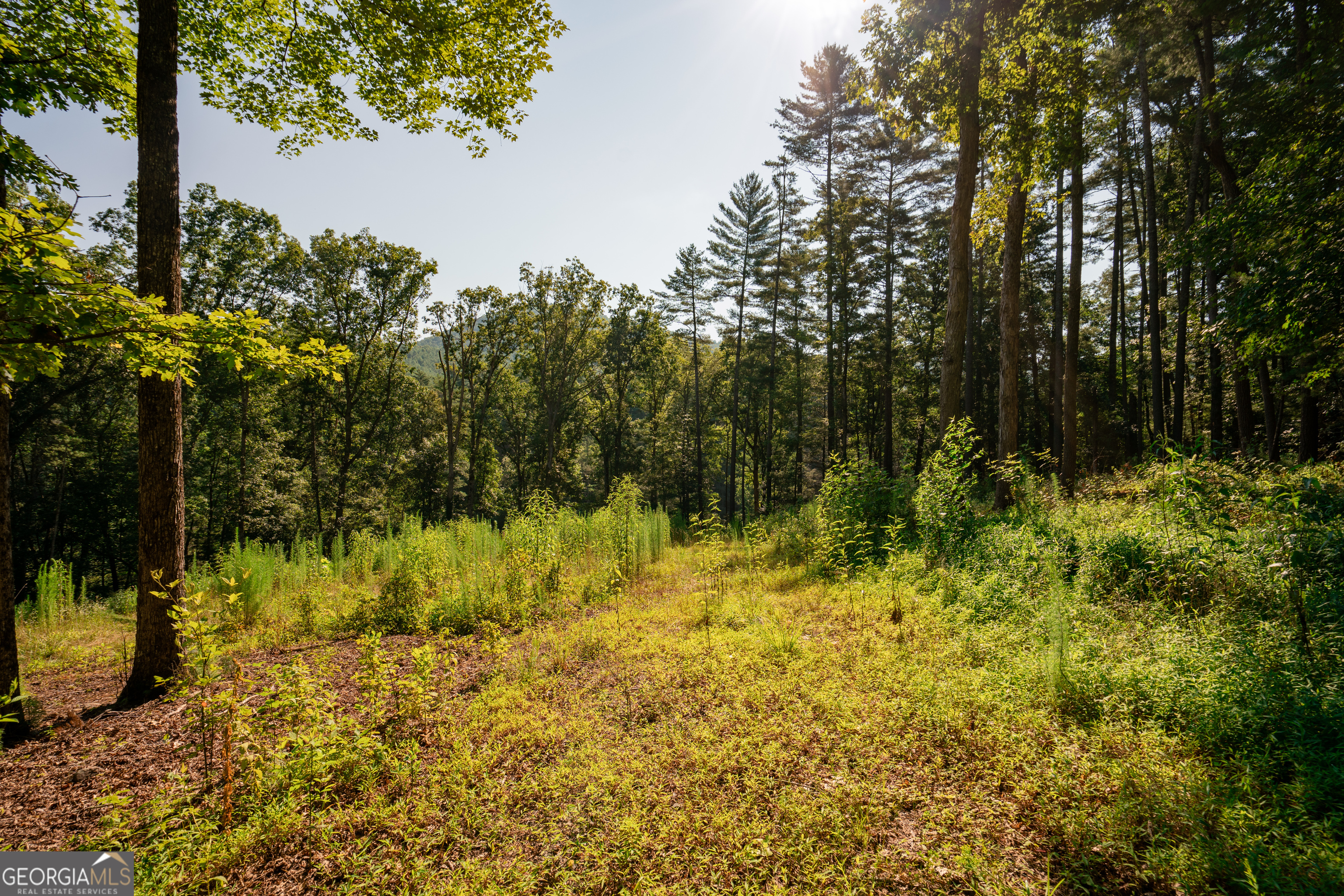 0 Old Rock Creek Road Property Photo 42