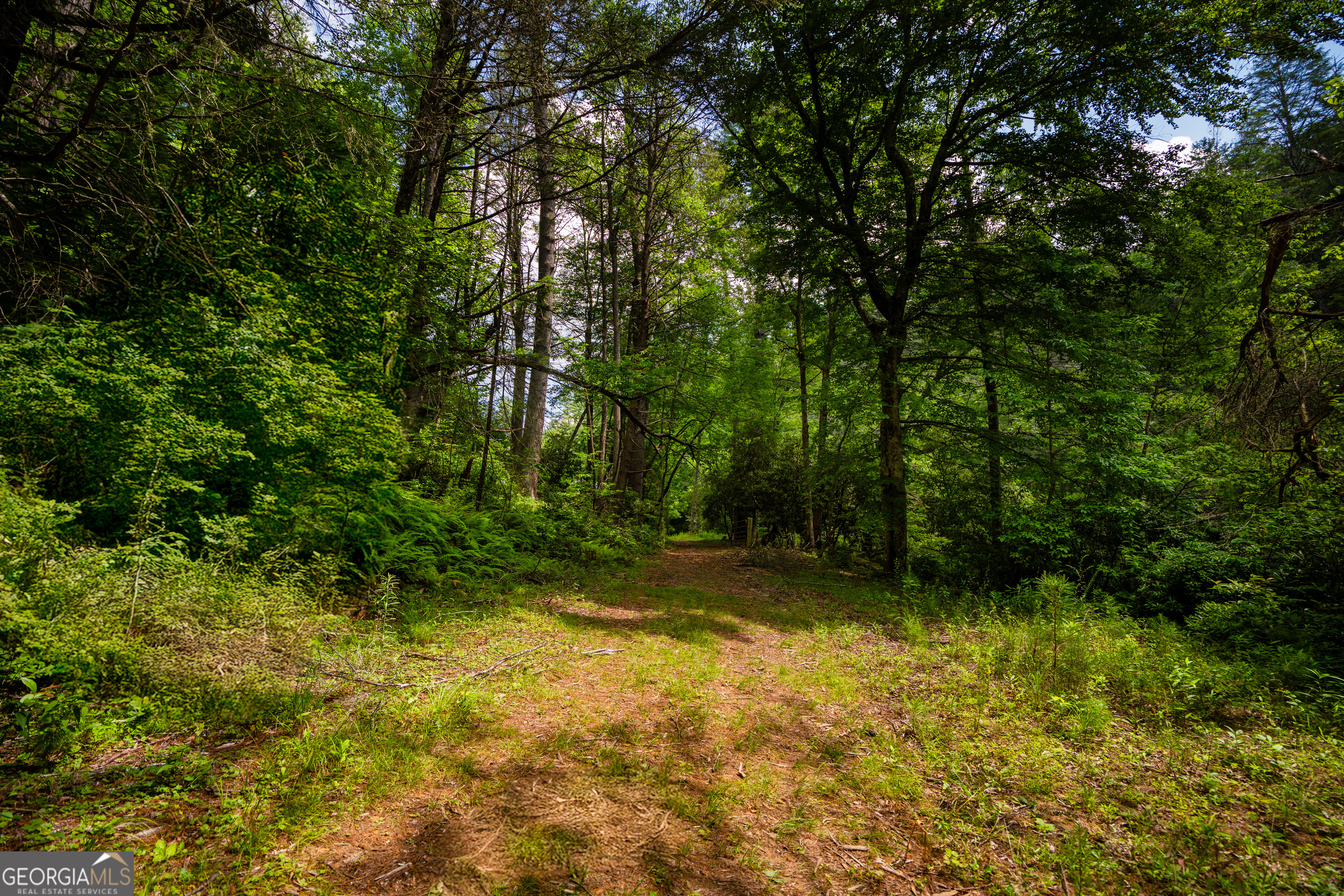 0 Old Rock Creek Road Property Photo 48