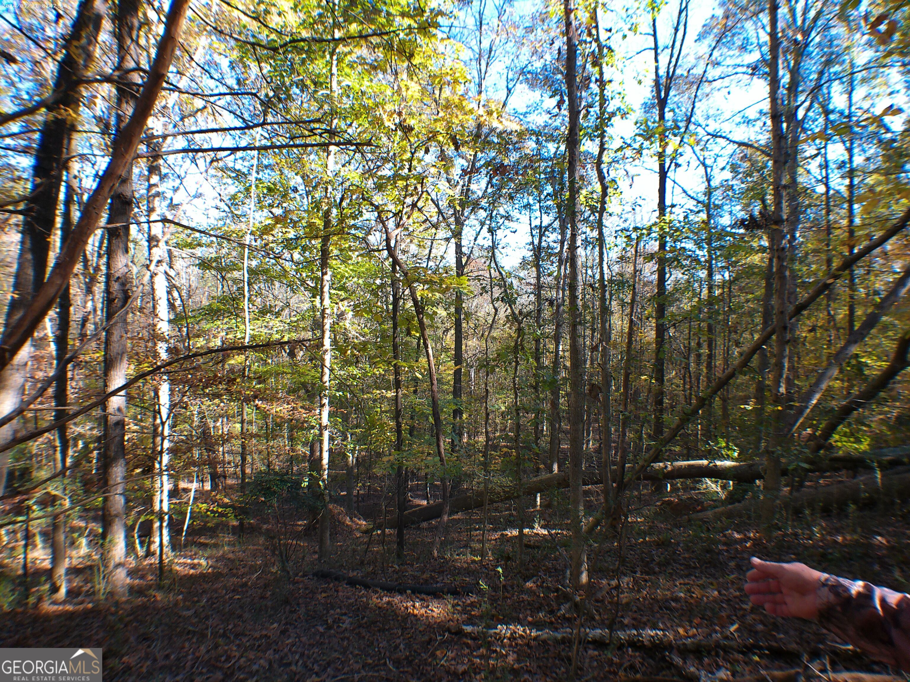 0 Dusty Road Property Photo 3