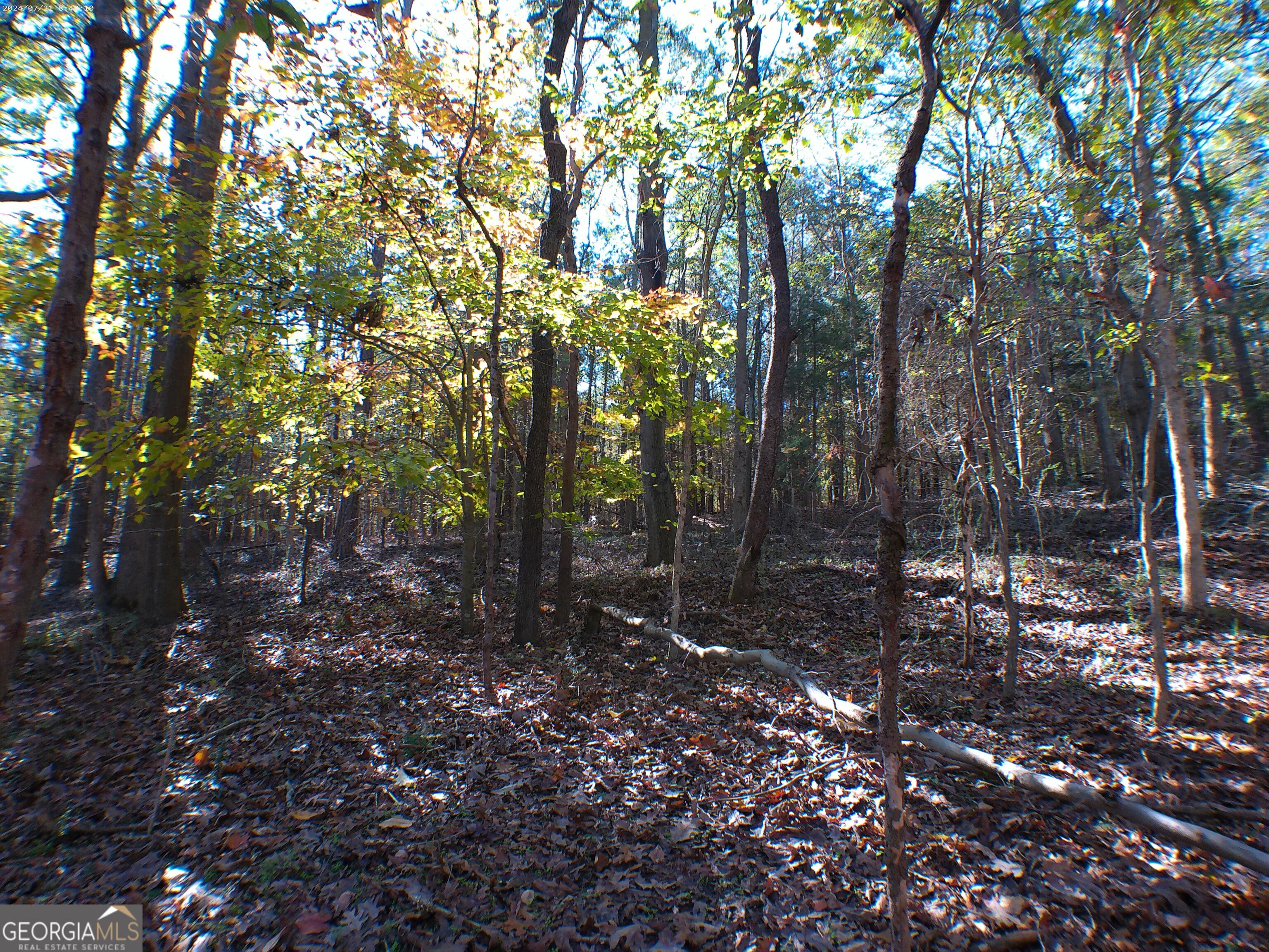 0 Dusty Road Property Photo 4