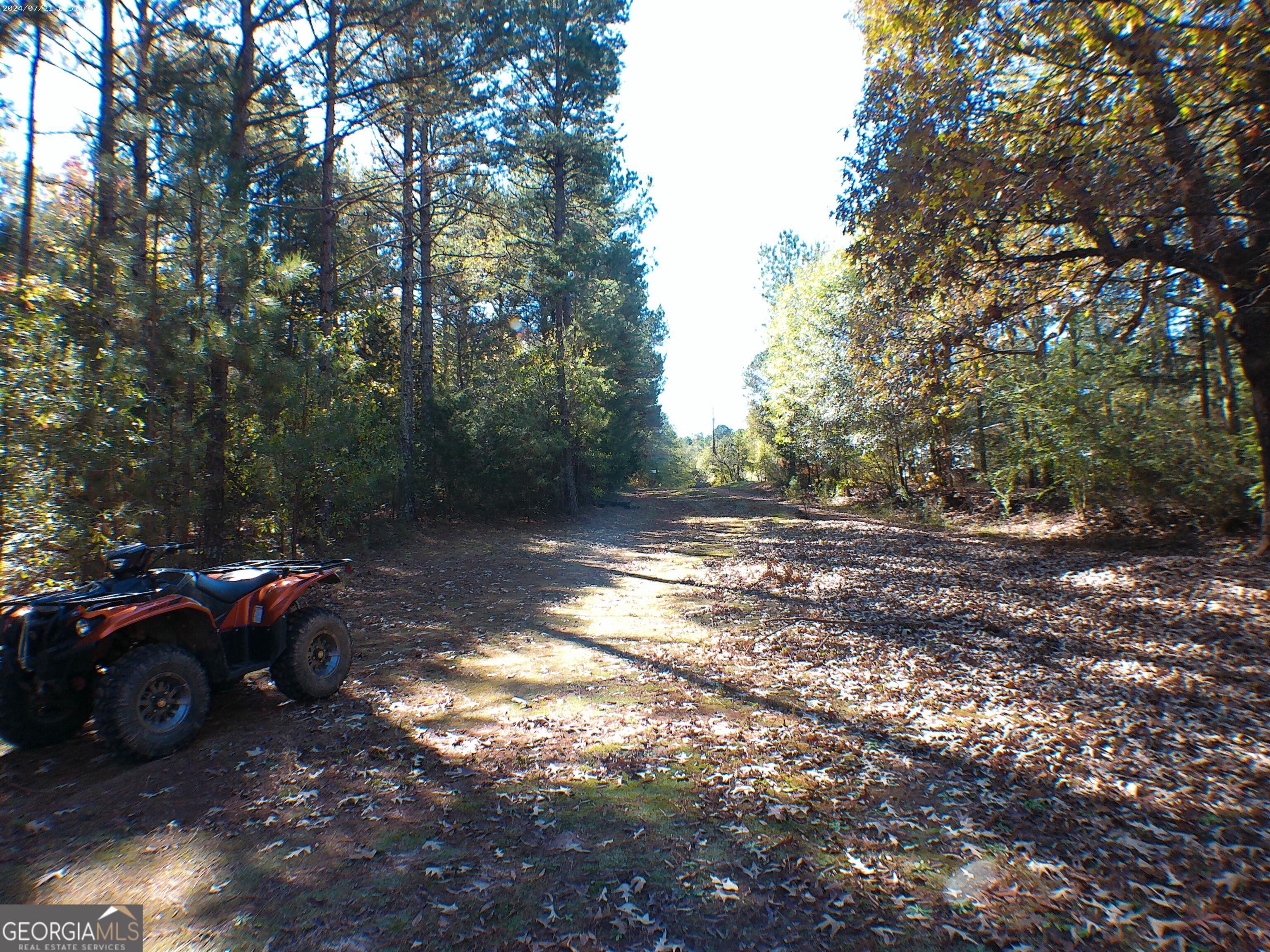 0 Dusty Road Property Photo 5