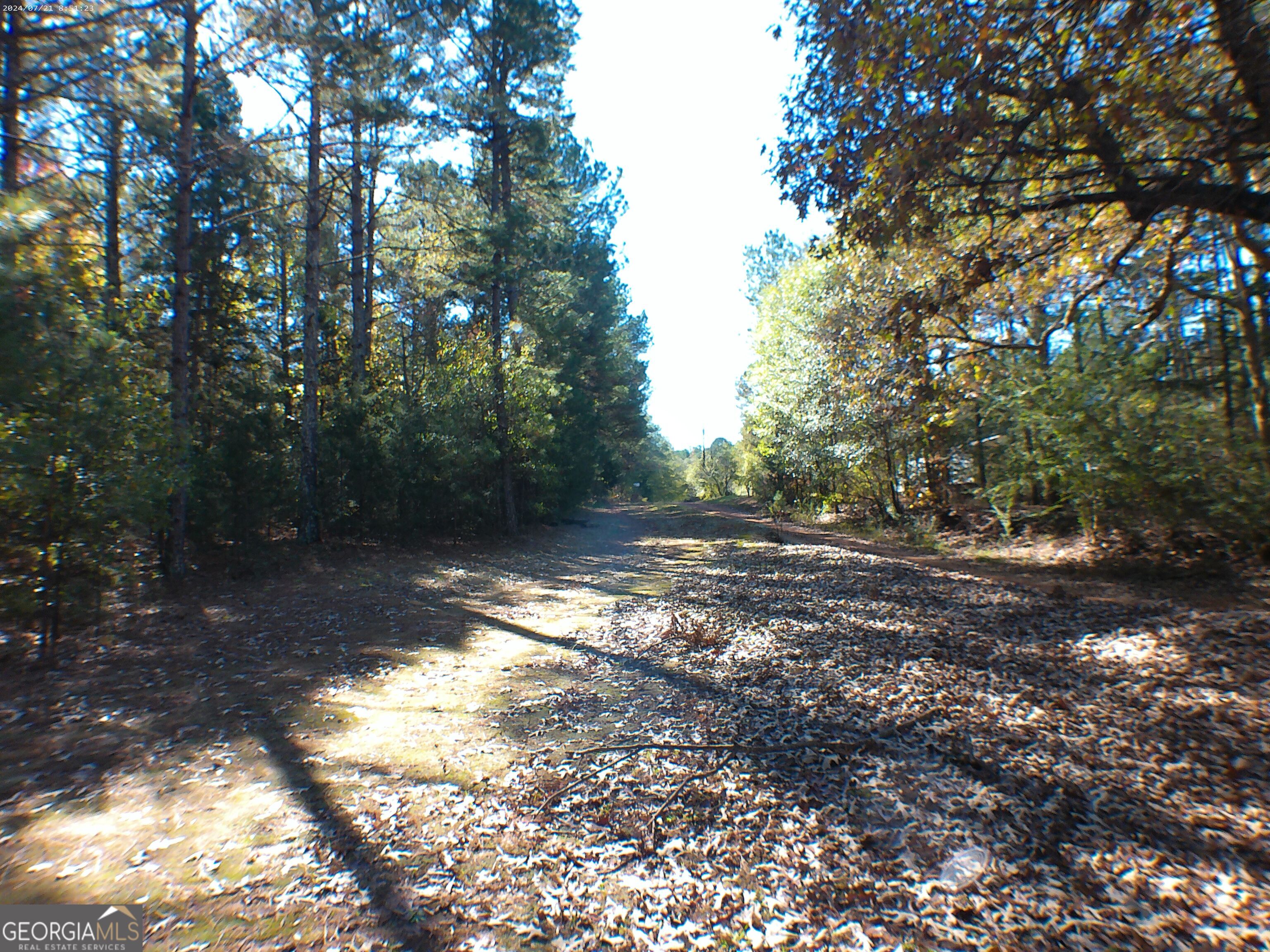 0 Dusty Road Property Photo 6