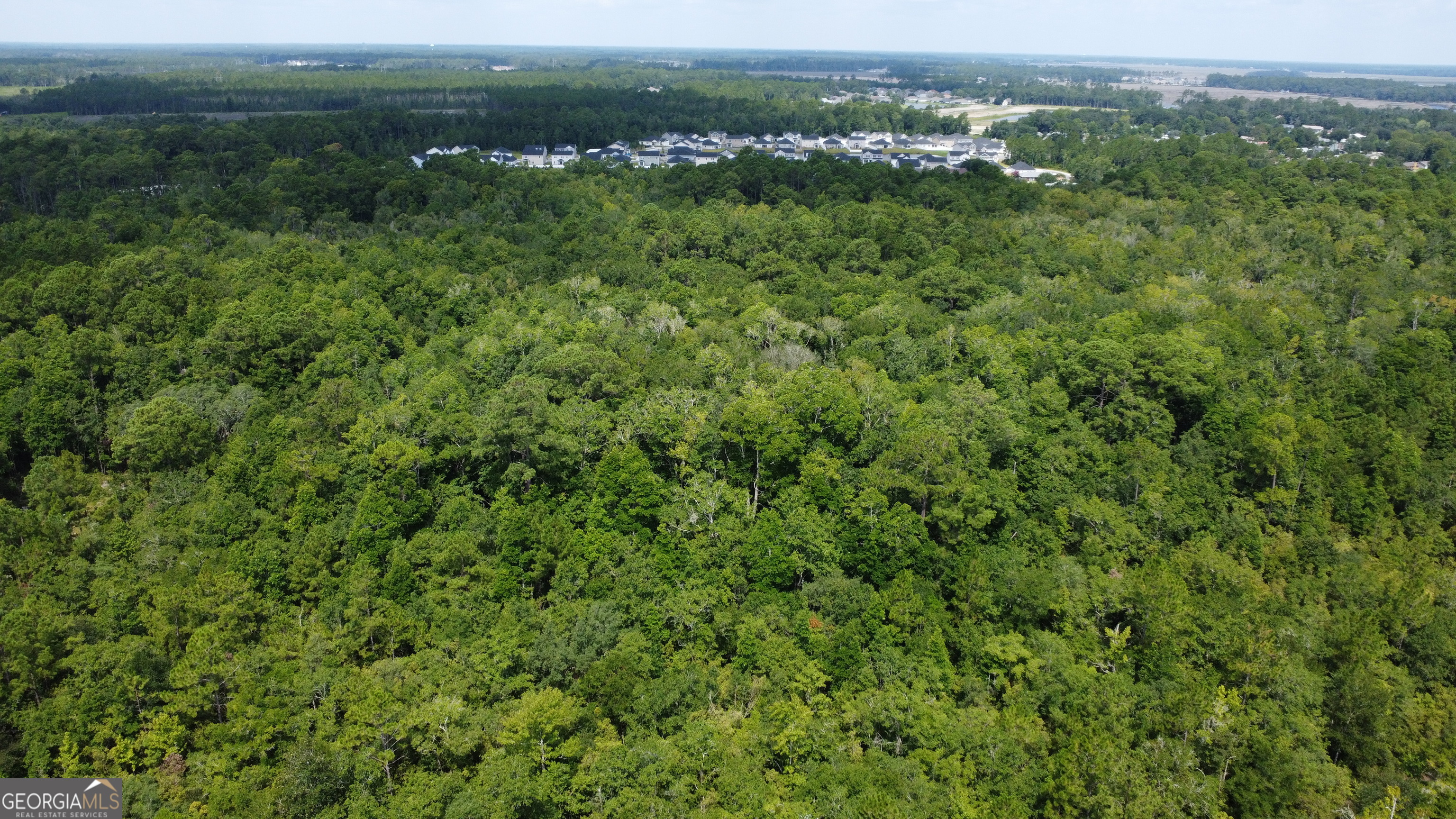 3501 Charlie Smith Sr Highway Property Photo 1