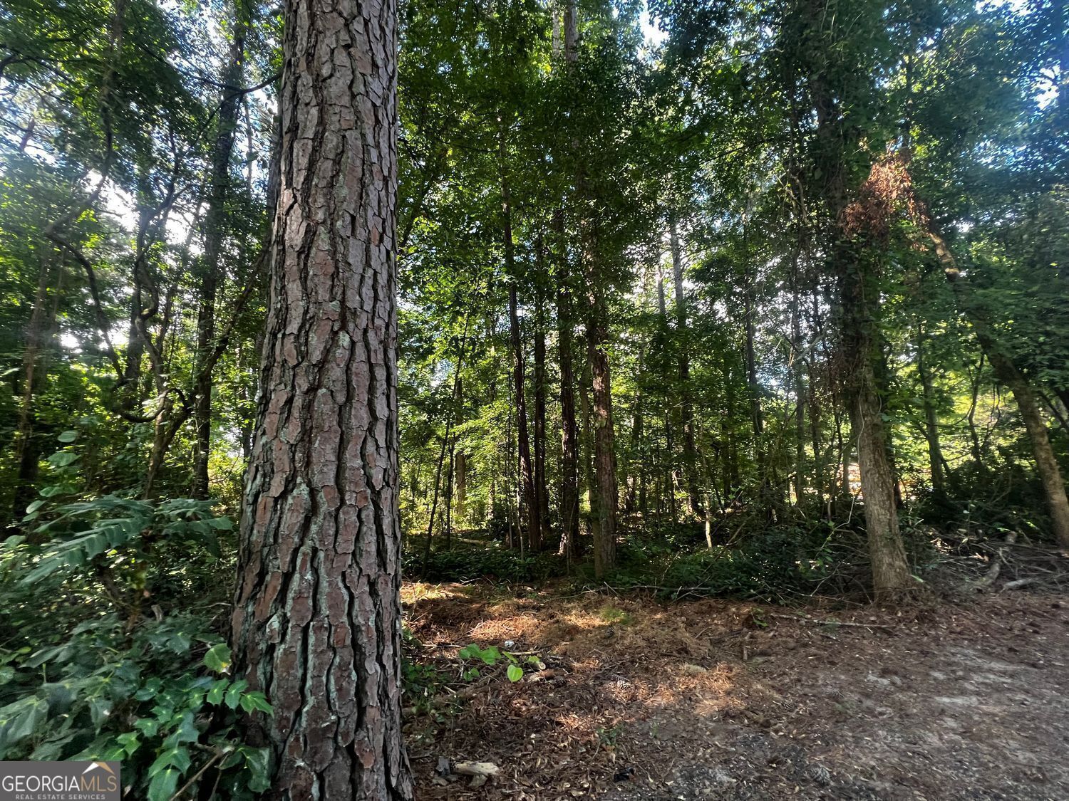 4074 Panola Road Property Photo 2