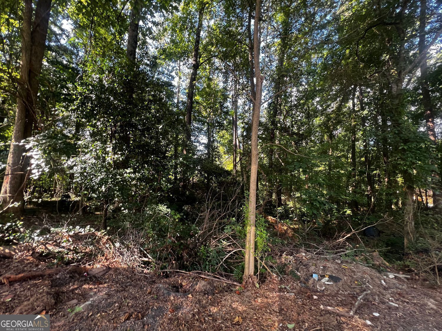 4074 Panola Road Property Photo 4