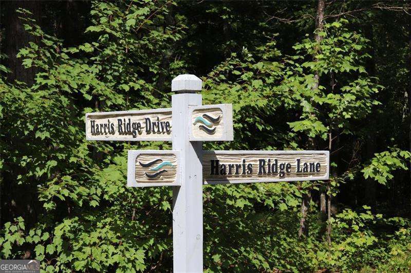0 Harris Ridge Lane Property Photo 2