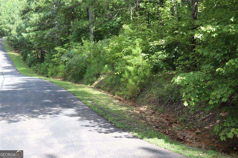 0 Harris Ridge Lane Property Photo 4