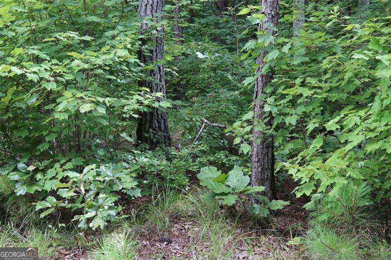 0 Harris Ridge Lane Property Photo 5