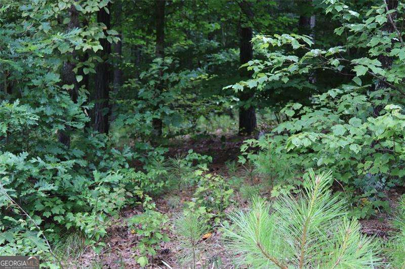 0 Harris Ridge Lane Property Photo 6