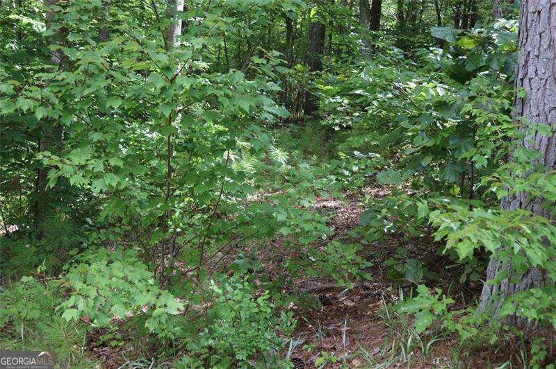 0 Harris Ridge Lane Property Photo 7