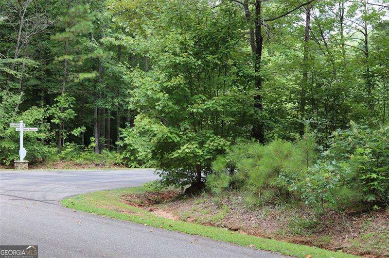 0 Harris Ridge Lane Property Photo 8