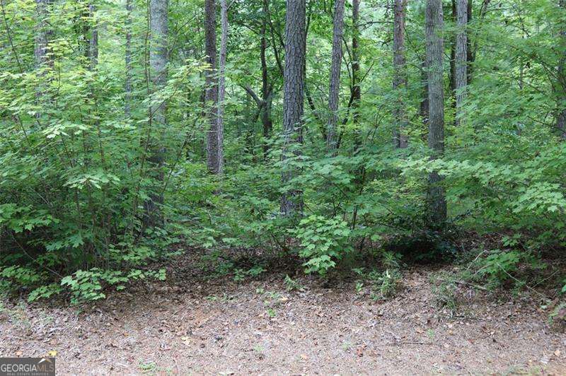 0 Harris Ridge Lane Property Photo 9