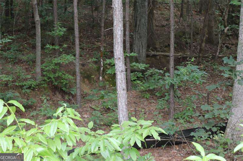 0 Harris Ridge Lane Property Photo 10