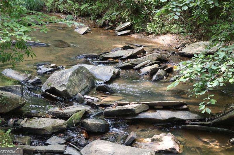 0 Harris Ridge Lane Property Photo 19