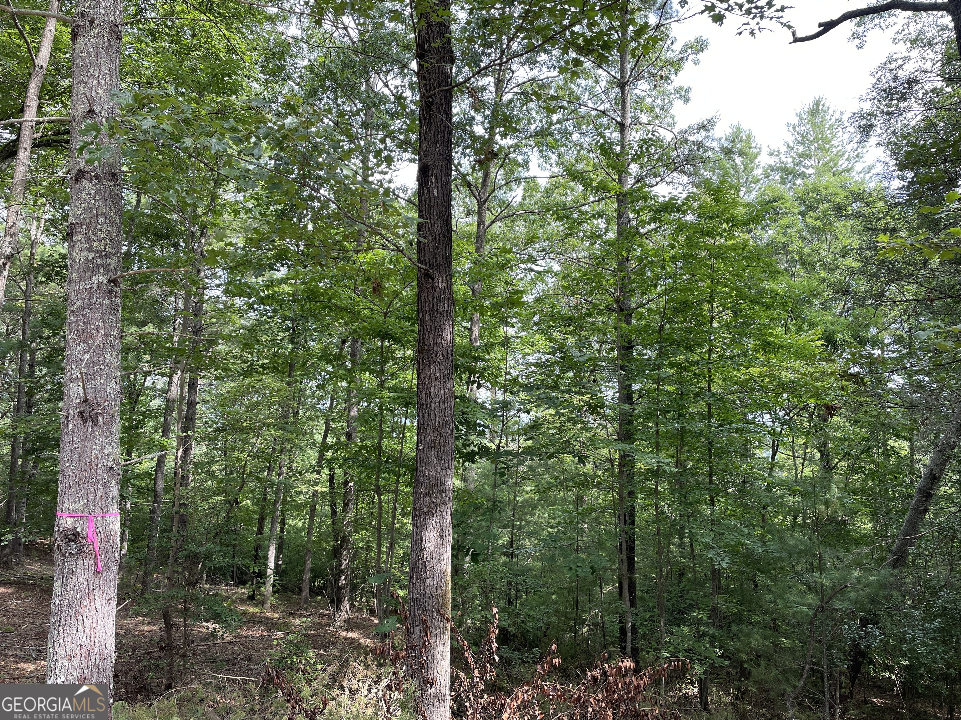 Lot13 Sour Apple Lane # 13 Property Photo 5