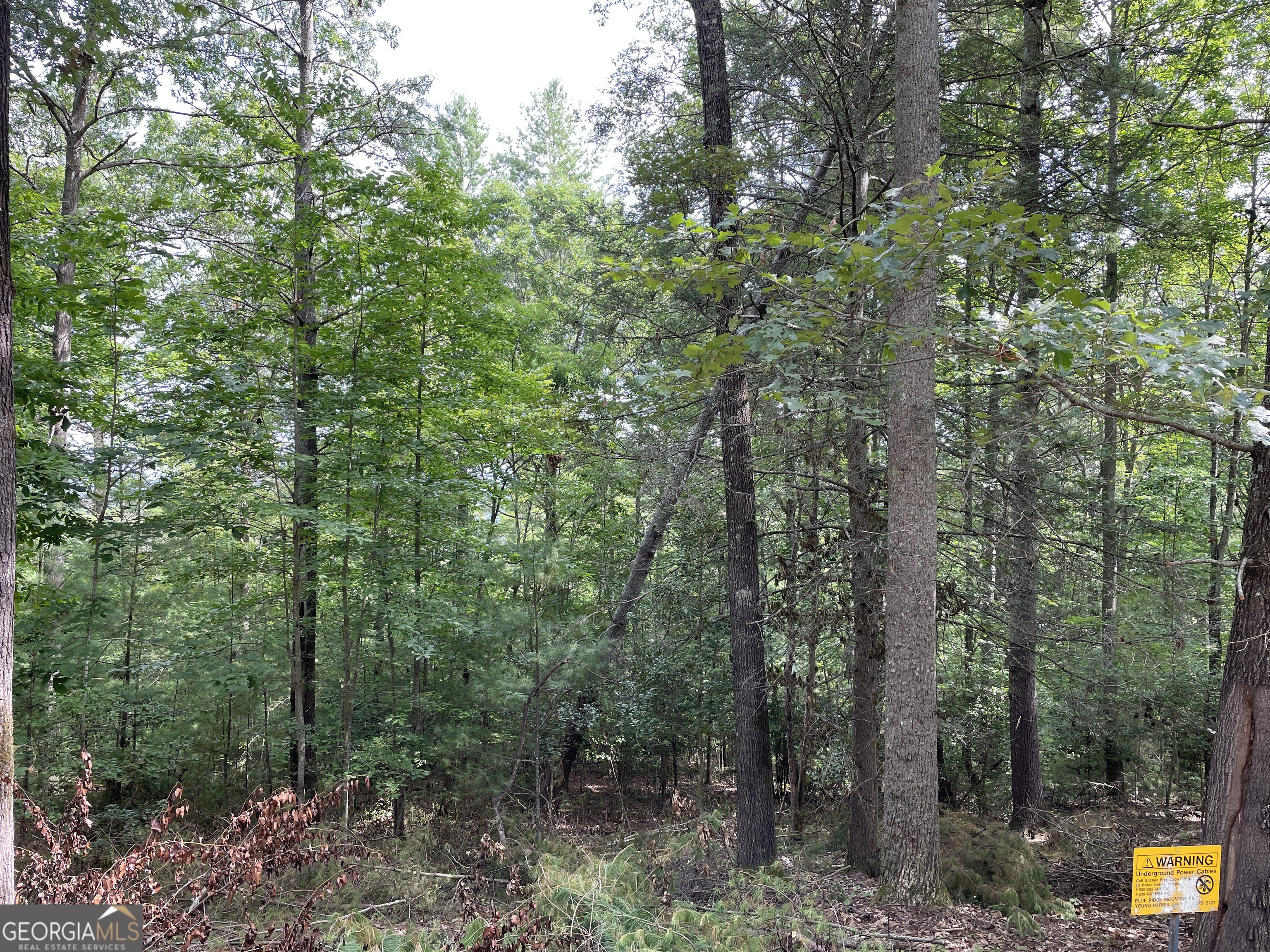 Lot13 Sour Apple Lane # 13 Property Photo 6