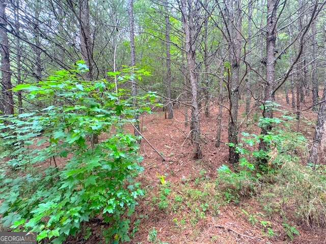 49 Iron Mountain Road Nw Property Photo 1