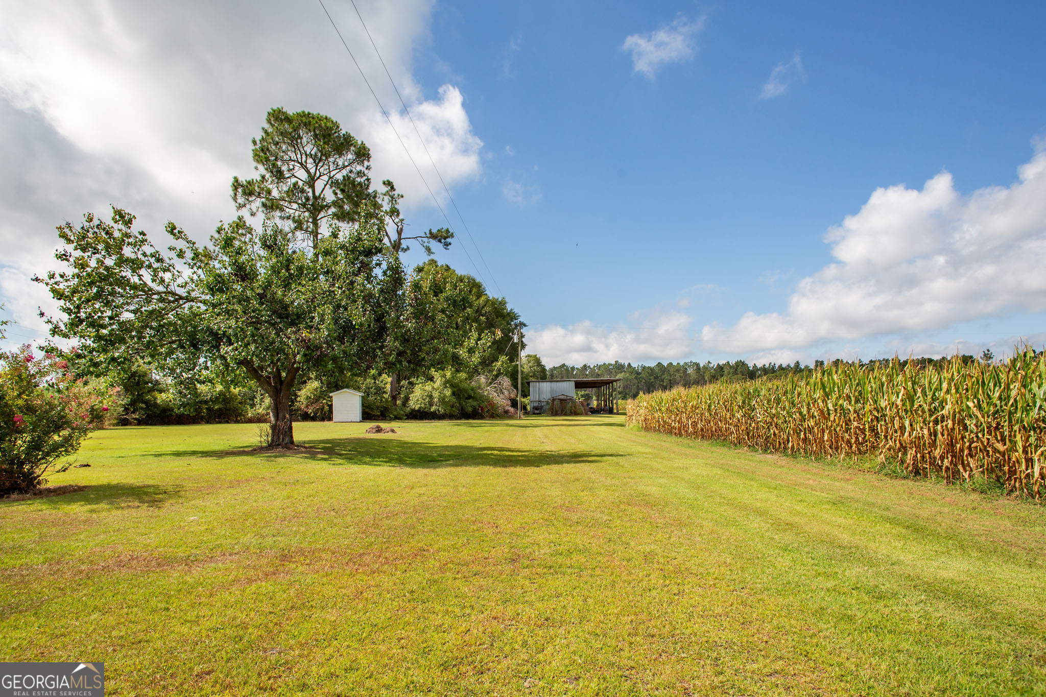 596 Teakwood Road Property Photo 6