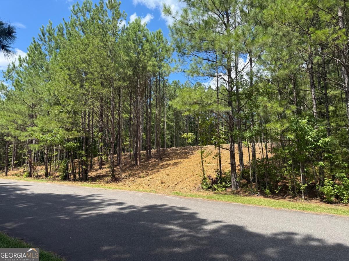 16 Wildberry Path Property Photo 1