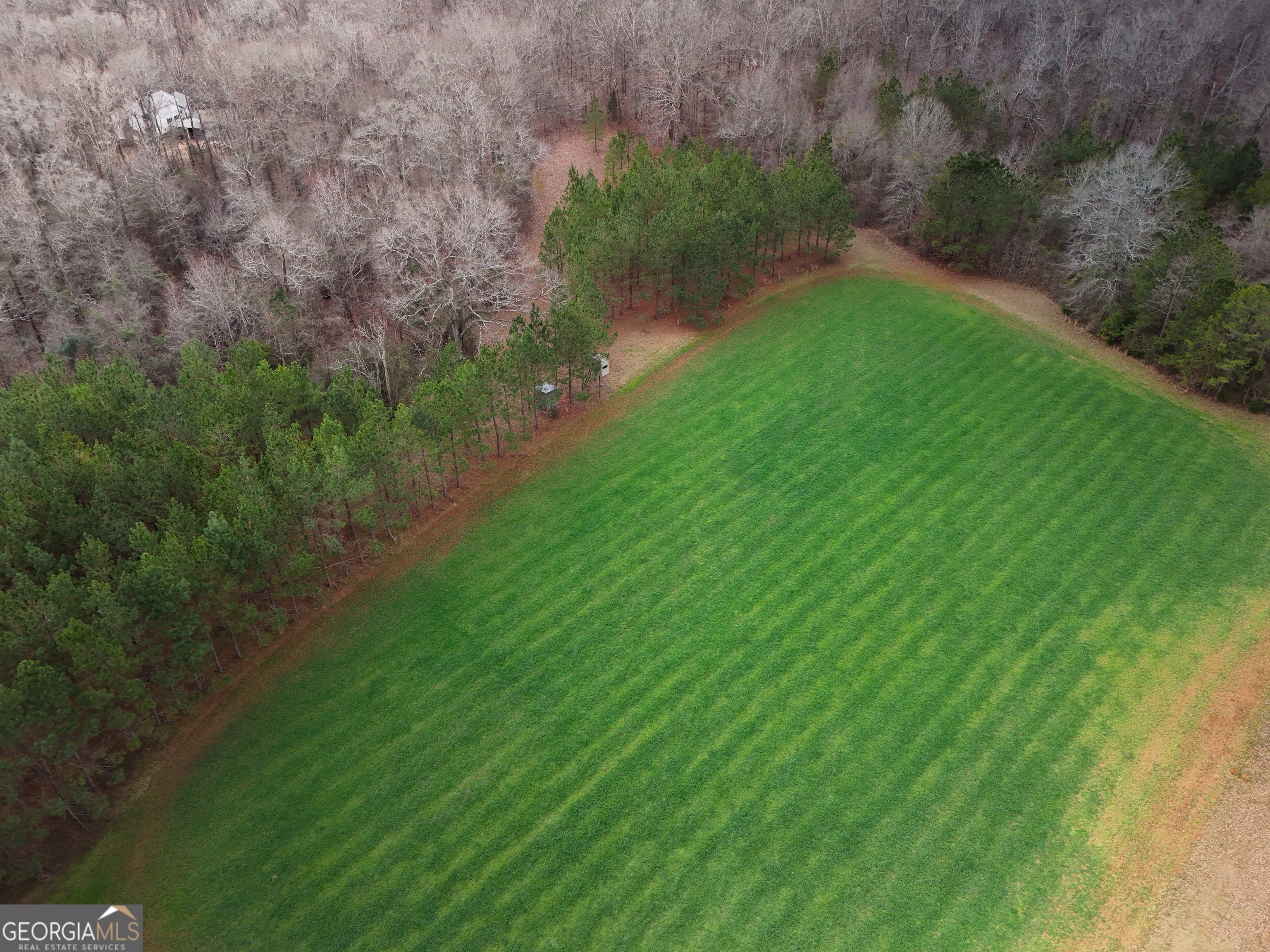 571 Bob Dodson Road Property Photo 1