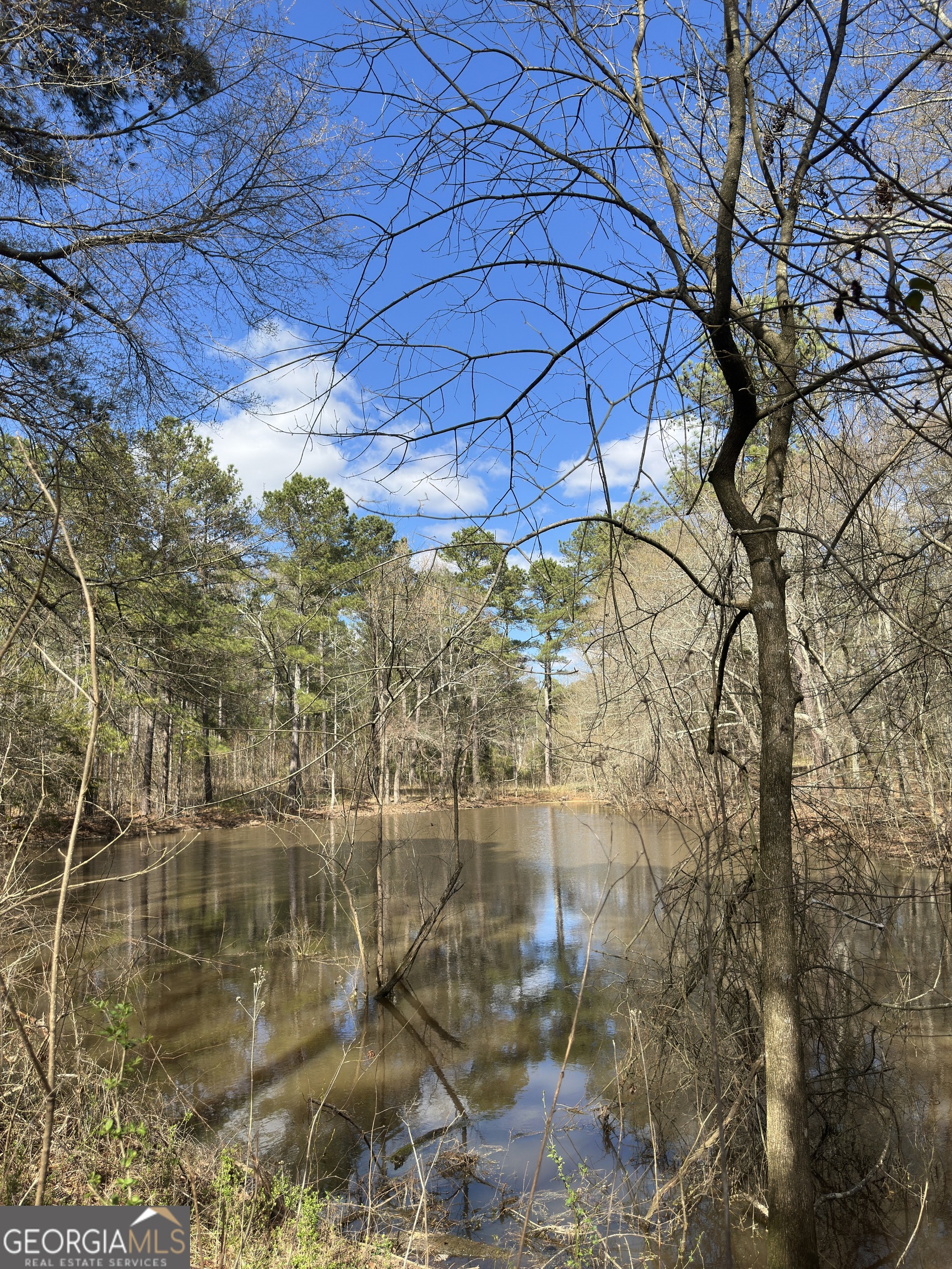 0 Watson Mill Road Property Photo 1