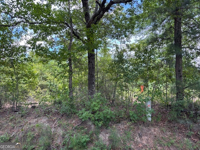 0 Simons Road Lot 2 Property Photo 1