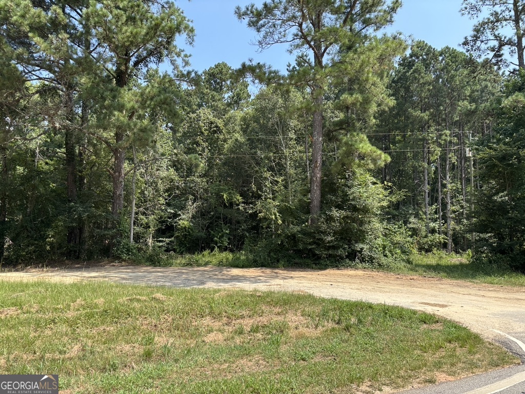 0 Greensboro Hwy Property Photo 1
