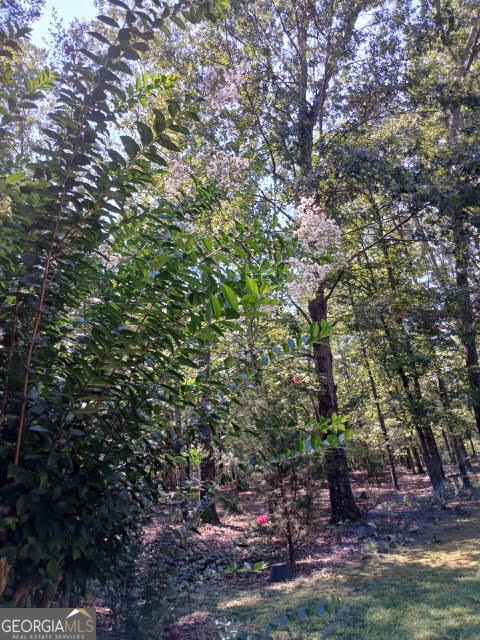 7790 Jefferson Road Property Photo 35