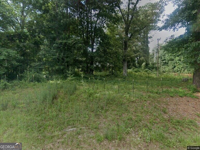 393 & 381 Old Conyers Road Property Photo 1