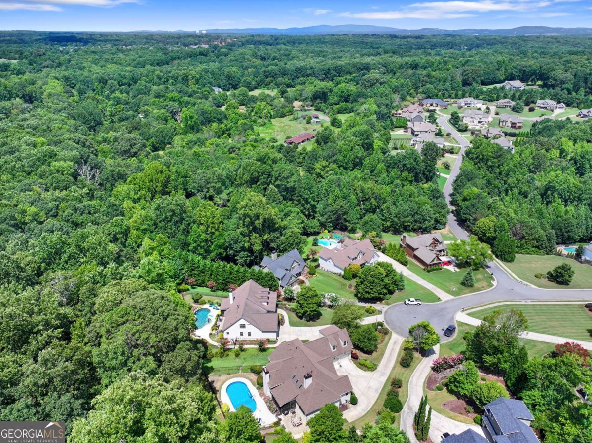515 Tower Trace Property Photo 51