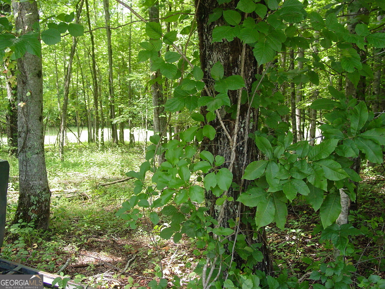 #13 Dan Knob Property Photo 1