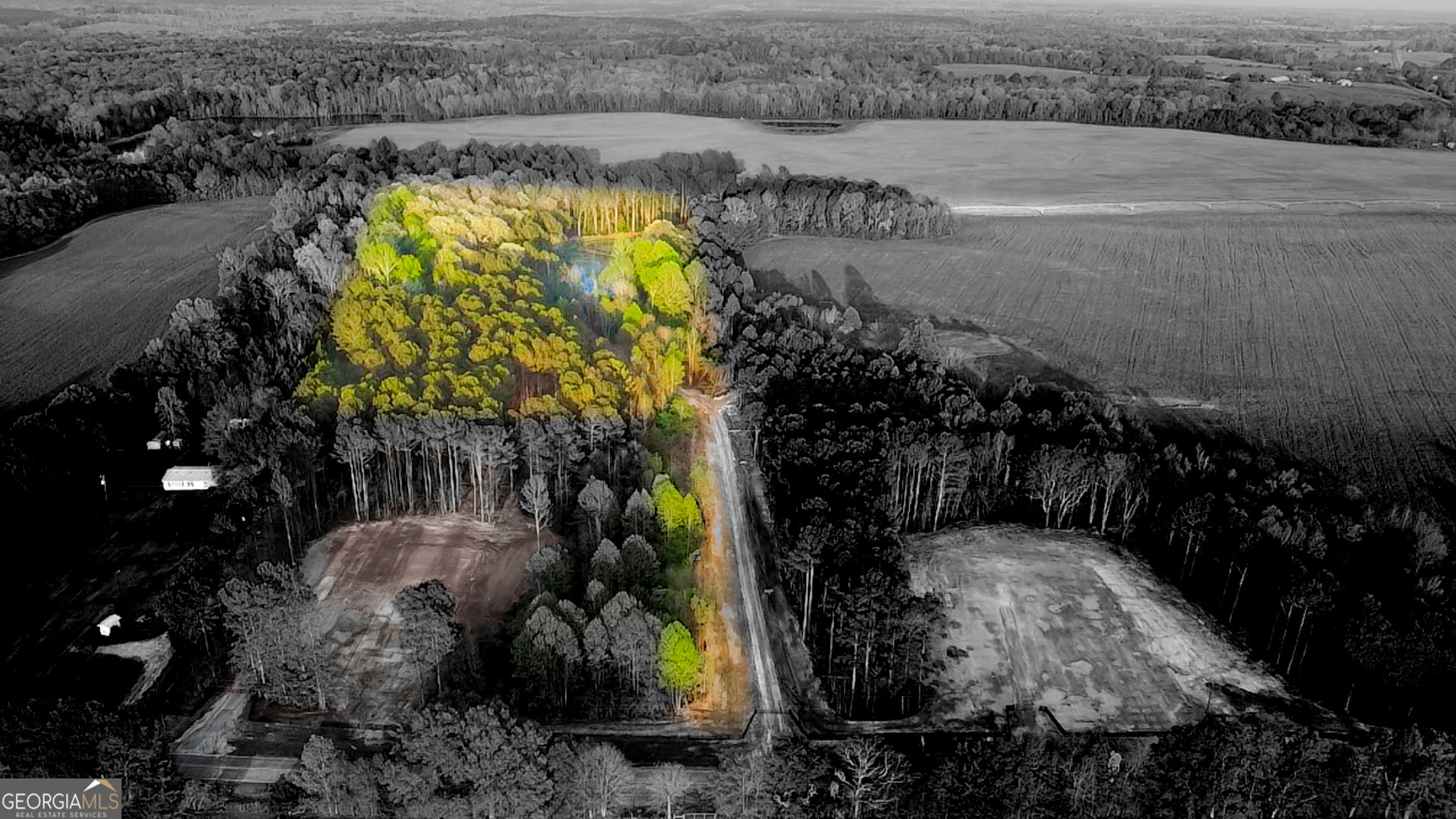 Tract 9 Ramah Church Road # 9 Property Photo 1