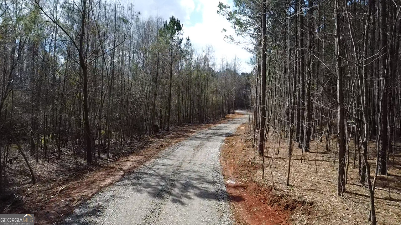 Tract 9 Ramah Church Road # 9 Property Photo 4