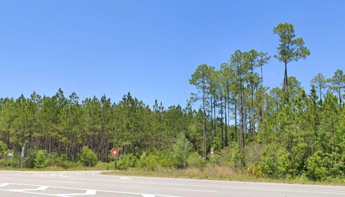 0 Valdosta Highway Property Photo 1