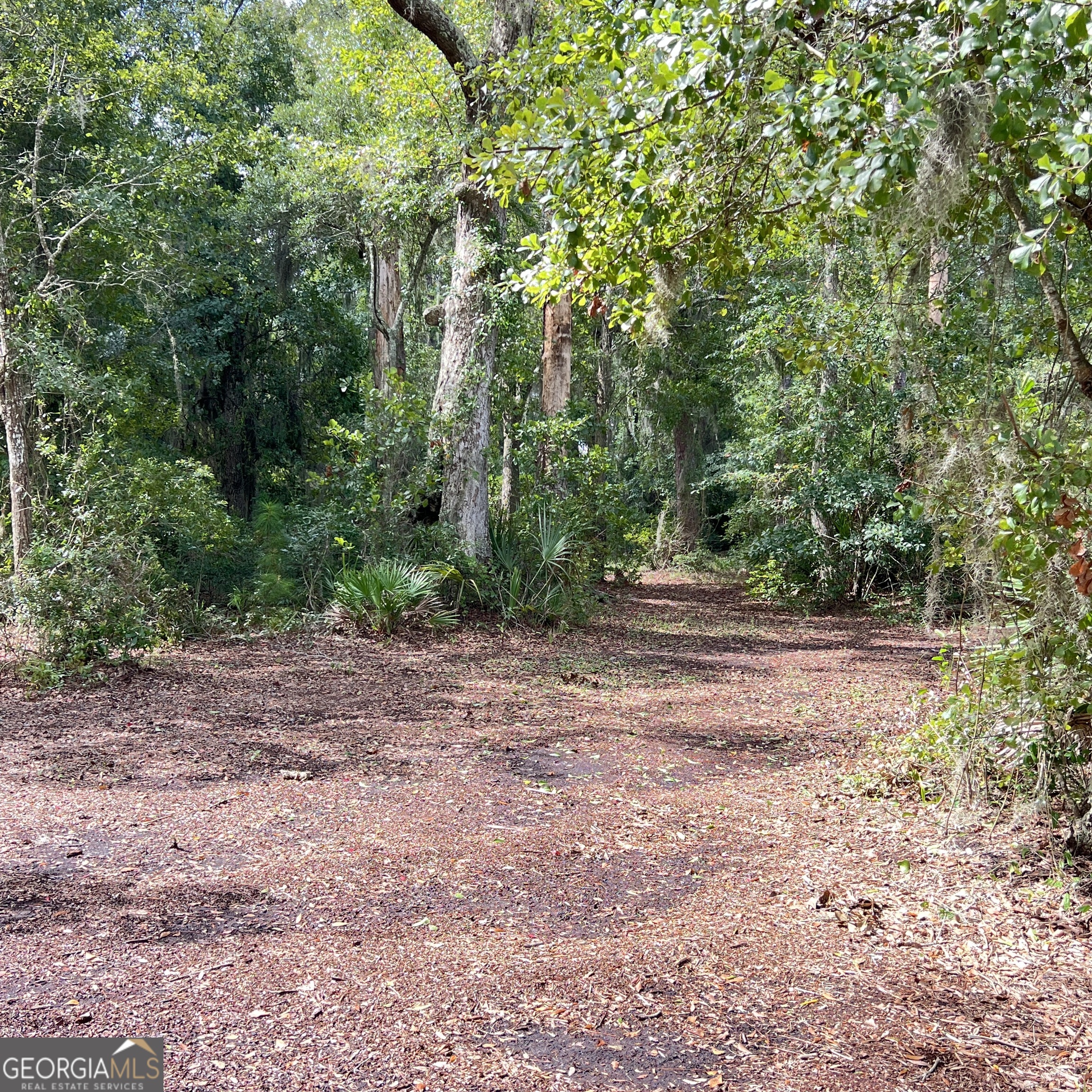 7211 Blythe Island Highway Property Photo 59