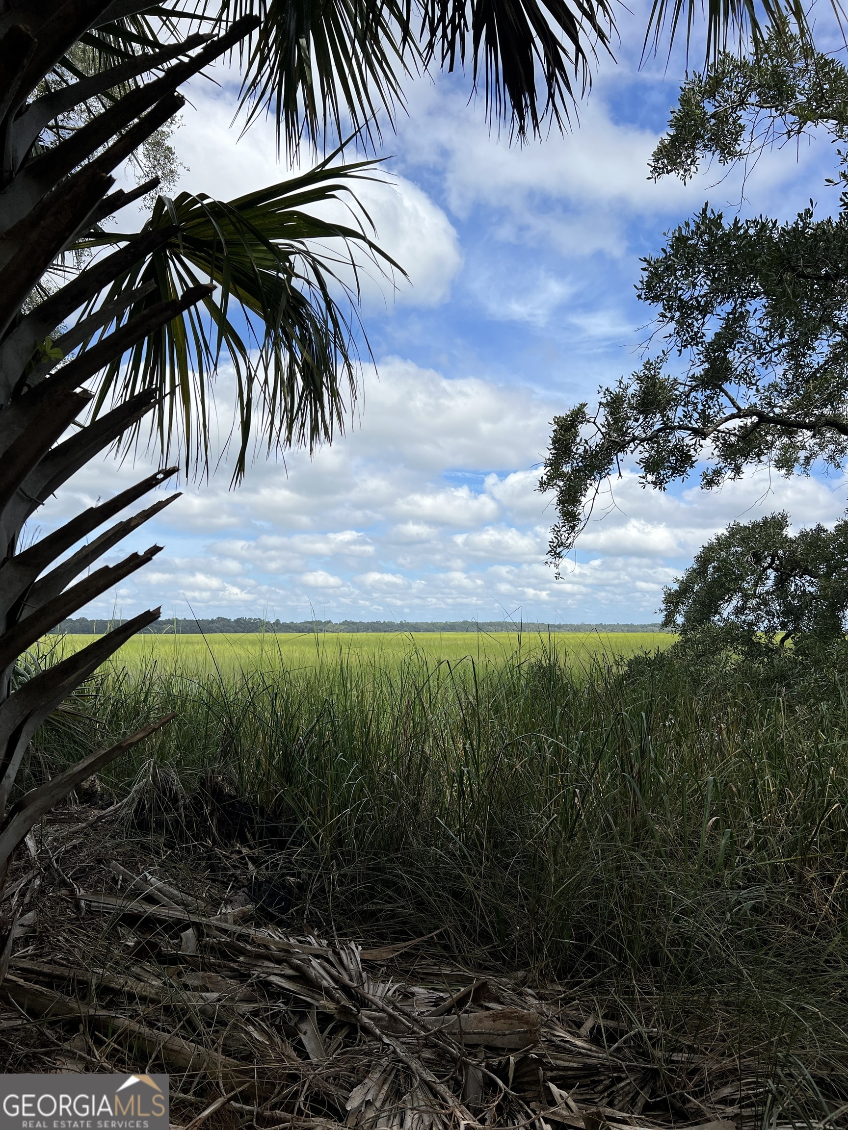 7211 Blythe Island Highway Property Photo 60