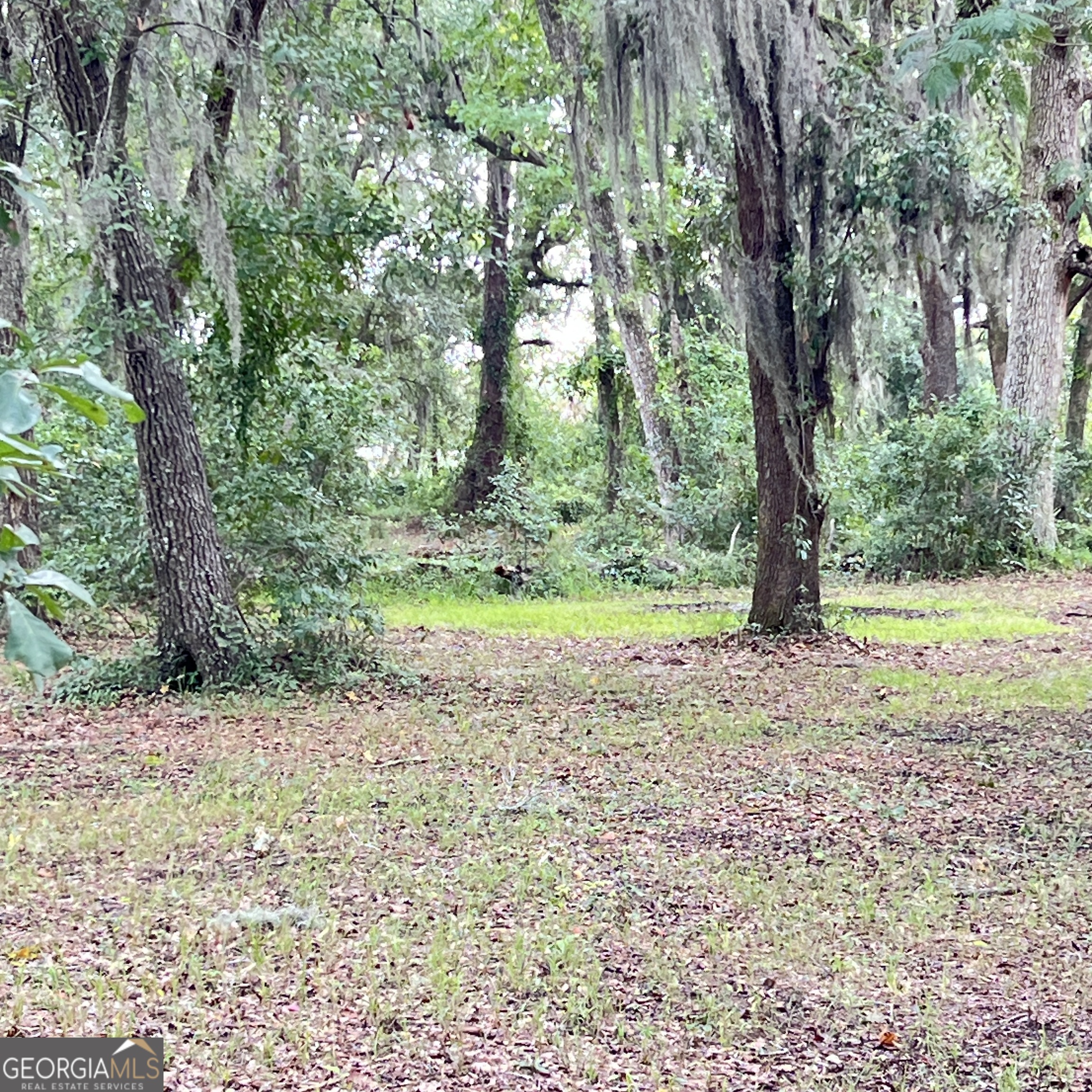 7211 Blythe Island Highway Property Photo 66