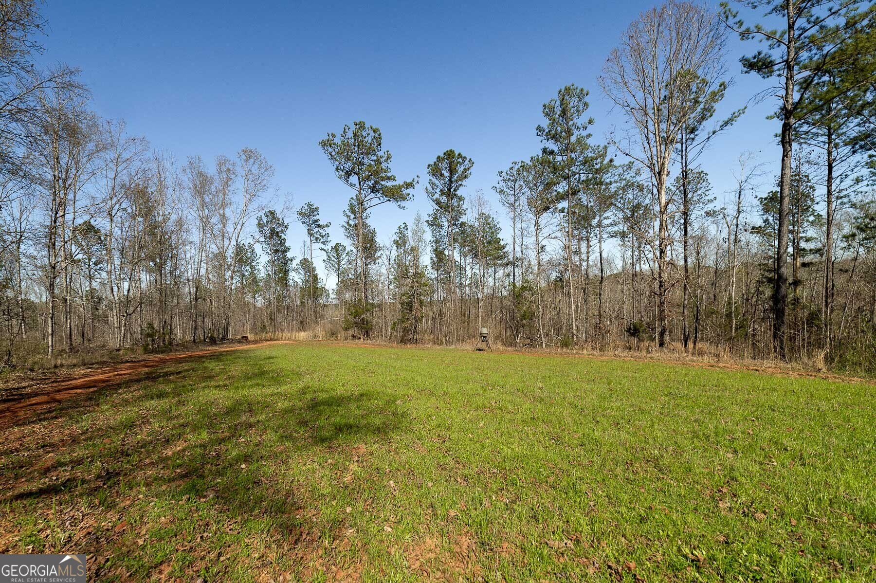 Lot 4 Mayfield Road Property Photo 1