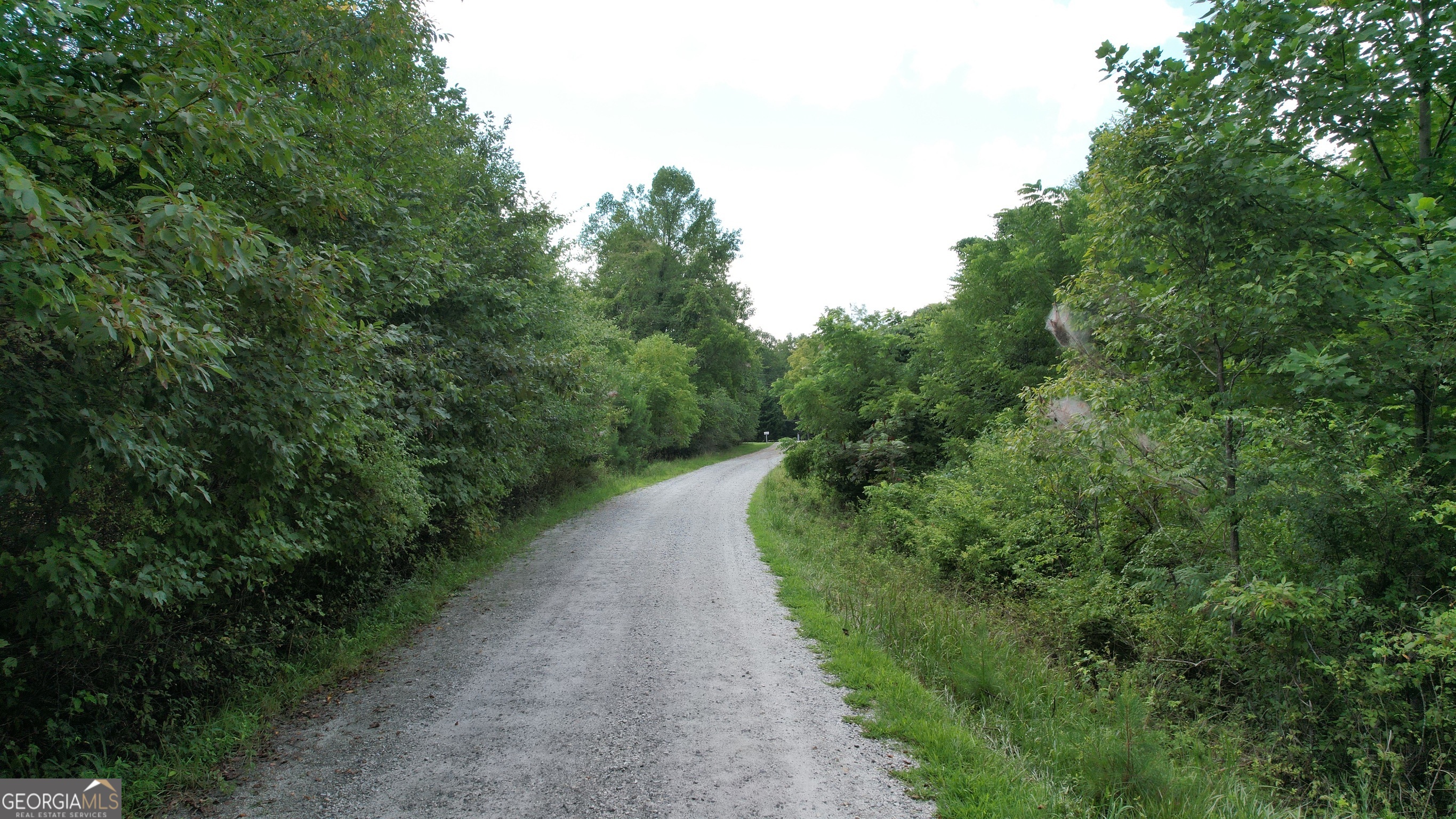 930 Cantrell Road Property Photo 15