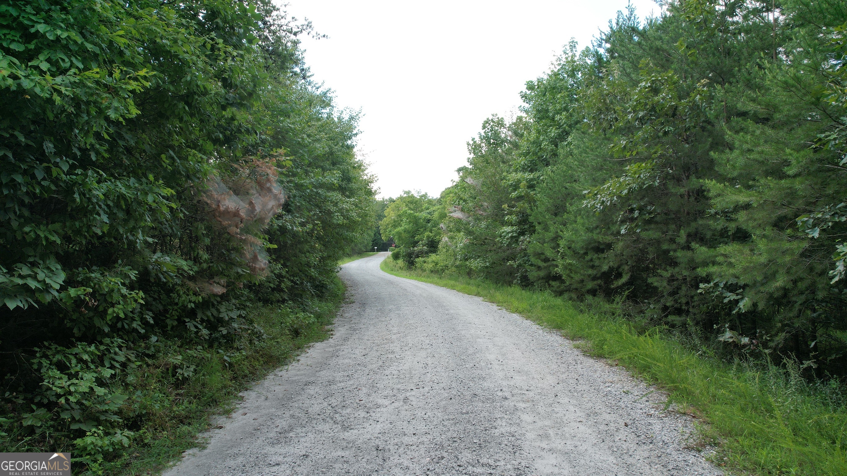 930 Cantrell Road Property Photo 17