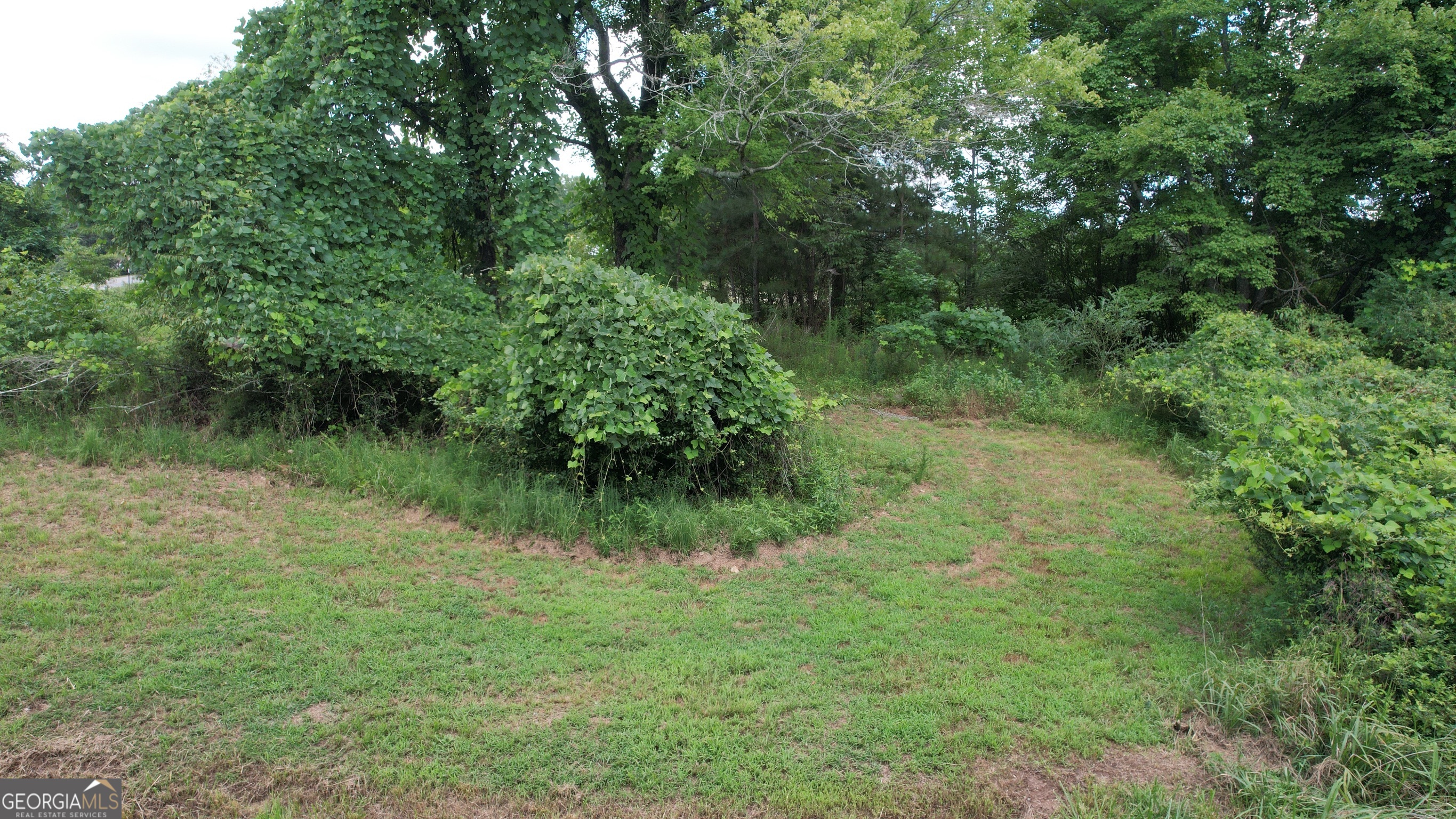930 Cantrell Road Property Photo 18