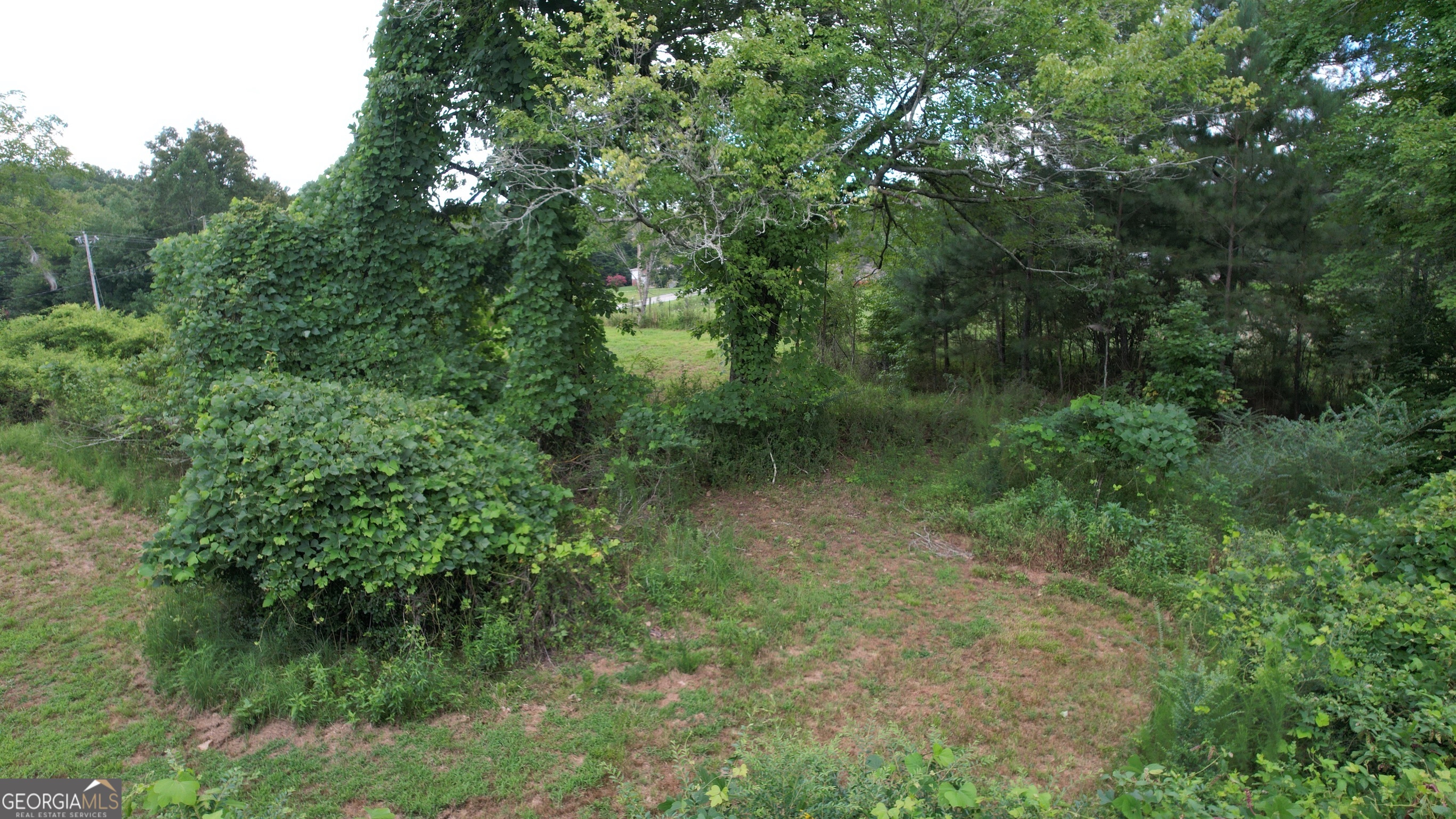 930 Cantrell Road Property Photo 19