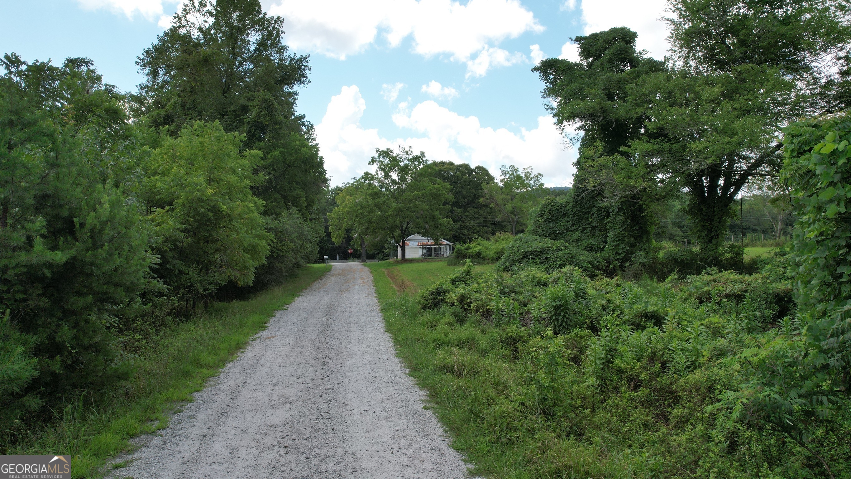 930 Cantrell Road Property Photo 30