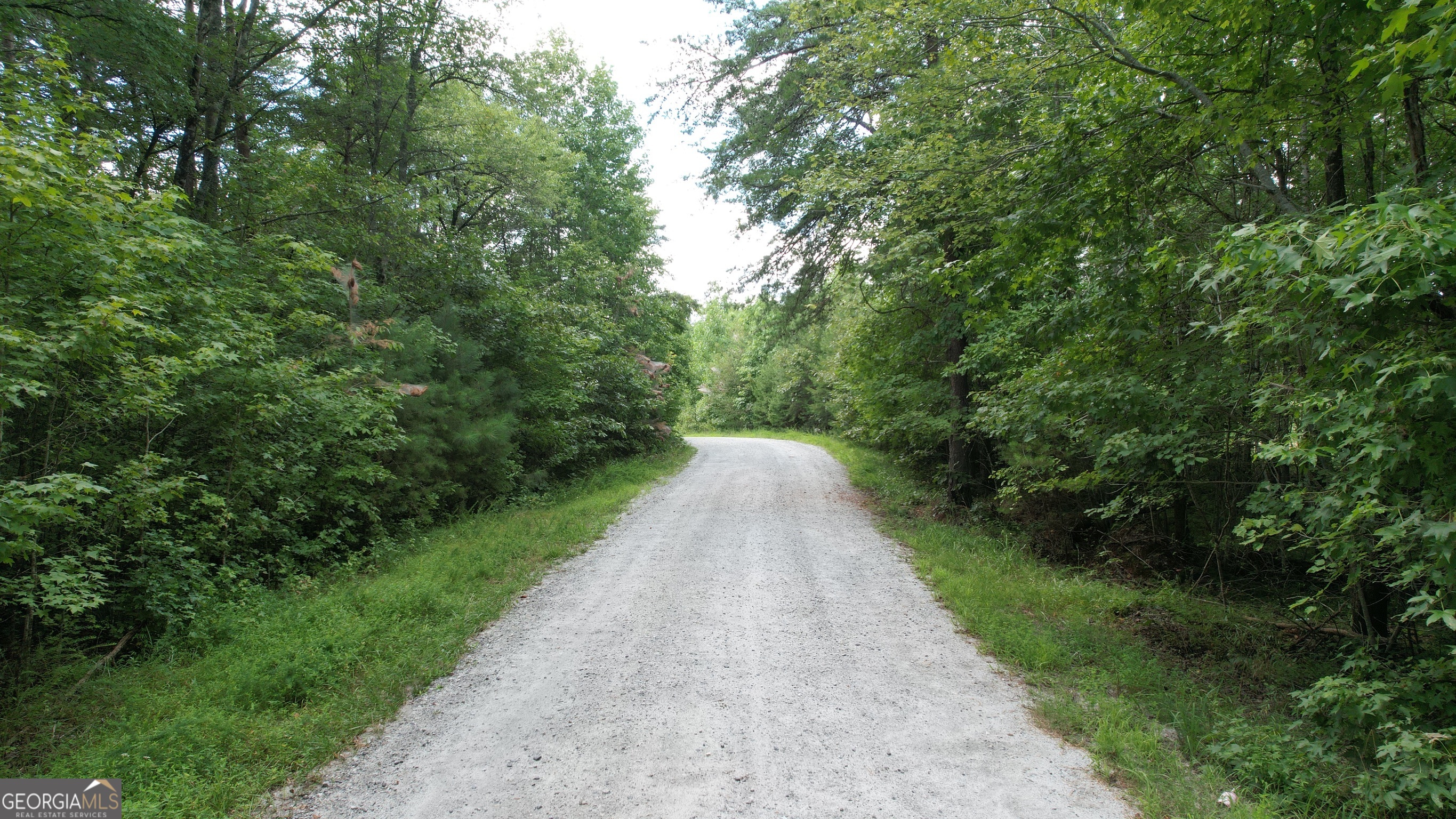 930 Cantrell Road Property Photo 31