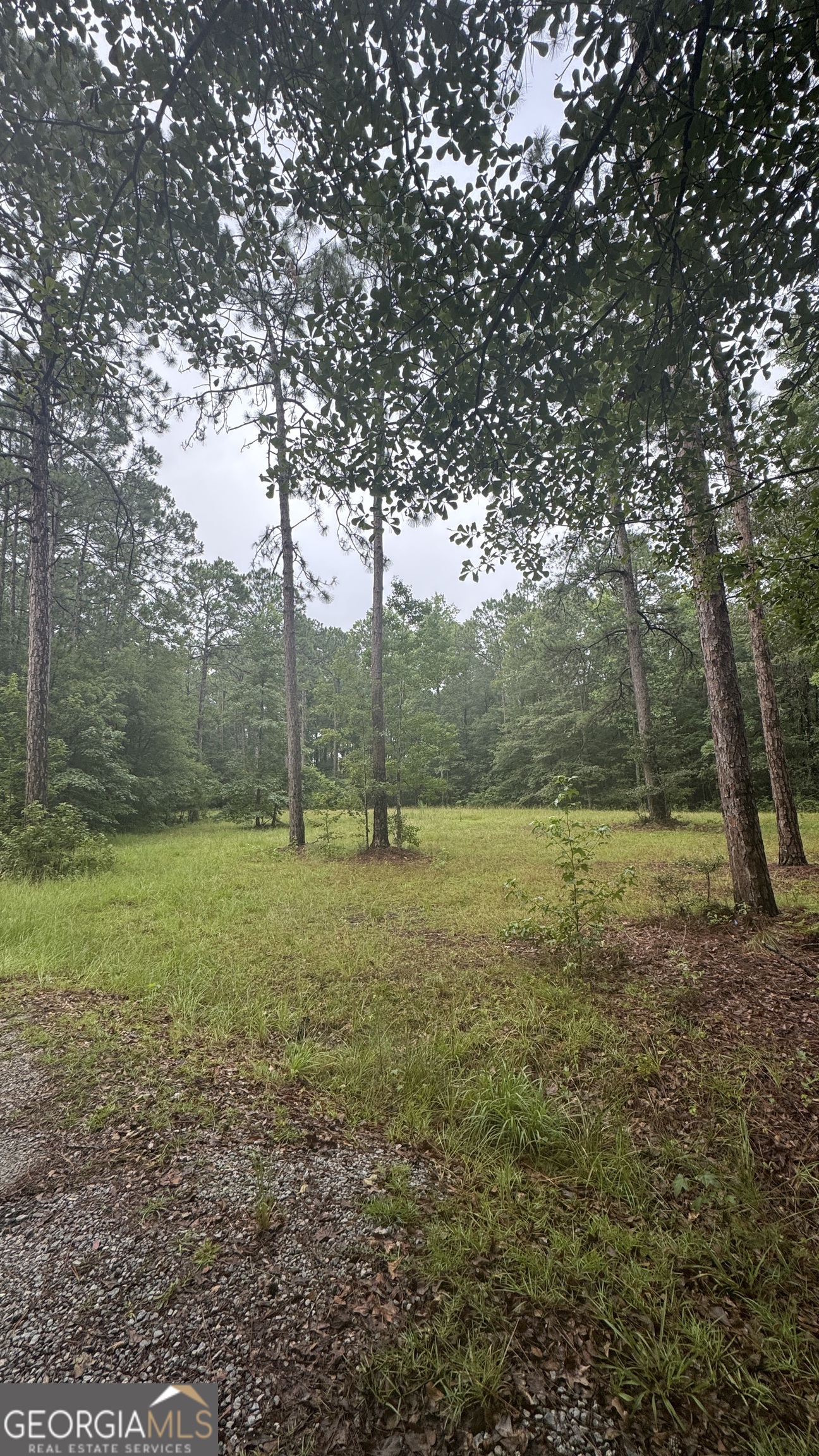 0 Sara Lynn Drive Property Photo 1