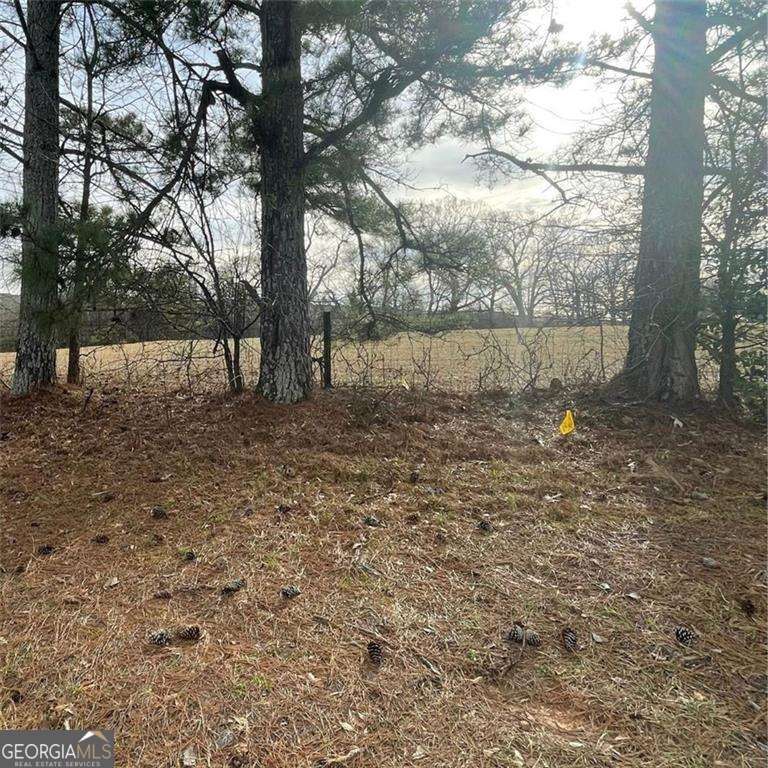 0 Hwy 29 Sou Property Photo 1
