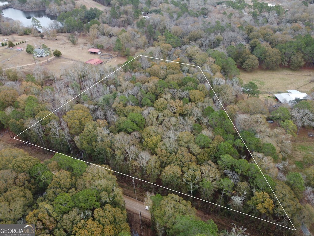 0 Hall Mixon Road Property Photo 1