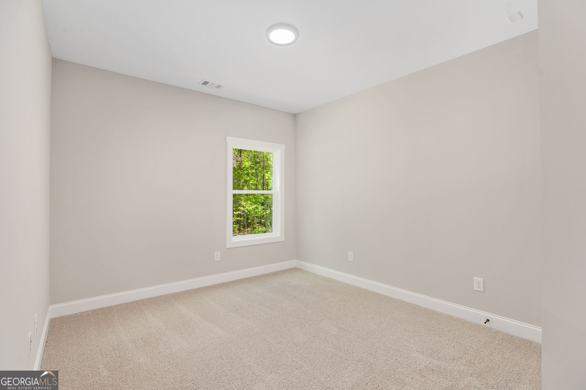 243 Flint Farms Drive Property Photo 10